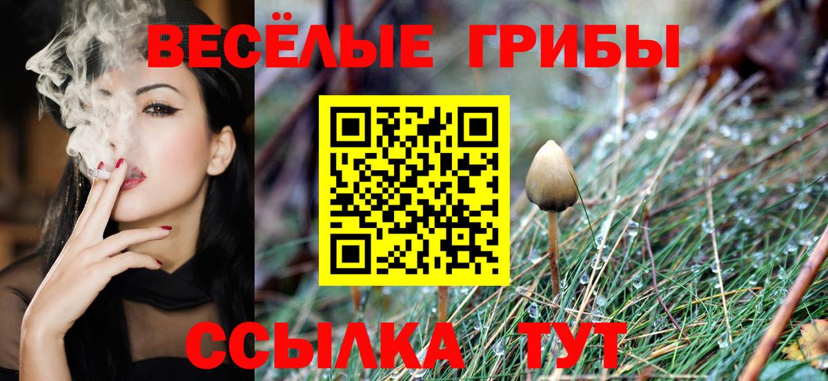Псилоцибиновые грибы мухоморы Похвистнево