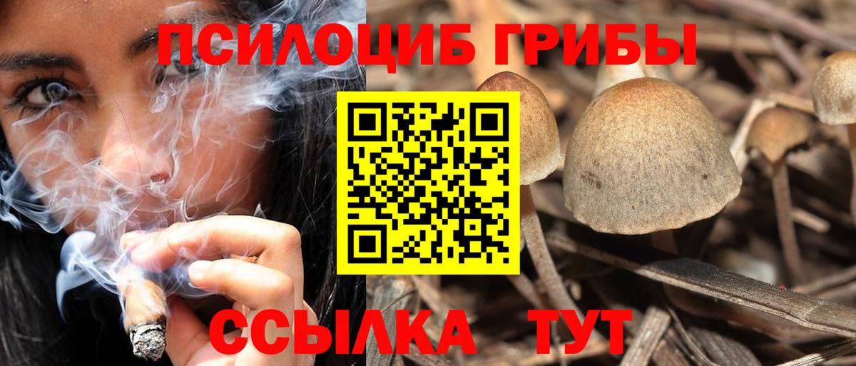 Похвистнево  Галлюциногенные грибы Magic Shrooms  Вход с VPN  Псилоцибиновые грибы прущие грибы 